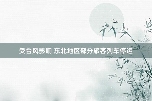 受台风影响 东北地区部分旅客列车停运