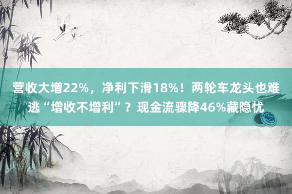 营收大增22%，净利下滑18%！两轮车龙头也难逃“增收不增利”？现金流骤降46%藏隐忧