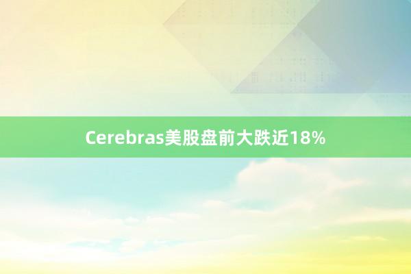 Cerebras美股盘前大跌近18%