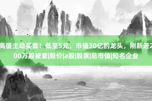 高盛主动买套！低至5元，市值30亿的龙头，刚新进200万股被套|股价|a股|股票|总市值|知名企业