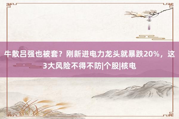 牛散吕强也被套？刚新进电力龙头就暴跌20%，这3大风险不得不防|个股|核电