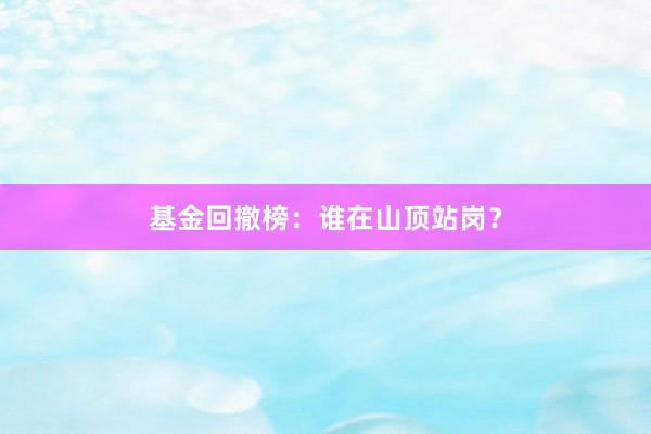 基金回撤榜：谁在山顶站岗？