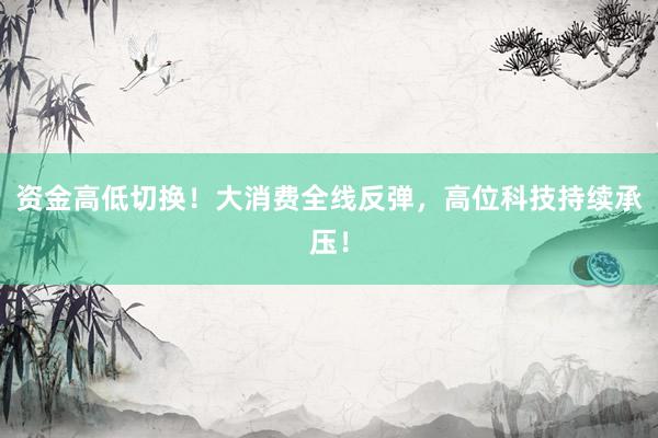 资金高低切换！大消费全线反弹，高位科技持续承压！