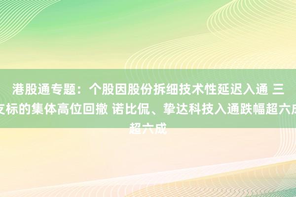 港股通专题：个股因股份拆细技术性延迟入通 三支标的集体高位回撤 诺比侃、挚达科技入通跌幅超六成