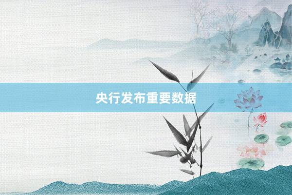 央行发布重要数据