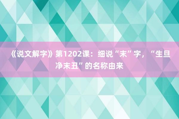 《说文解字》第1202课：细说“末”字，“生旦净末丑”的名称由来