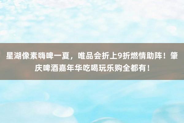 星湖像素嗨啤一夏，唯品会折上9折燃情助阵！肇庆啤酒嘉年华吃喝玩乐购全都有！
