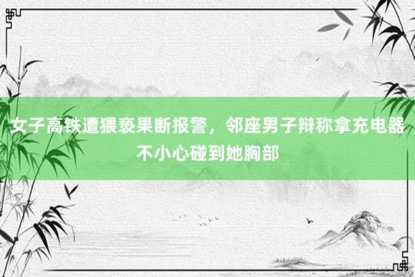 女子高铁遭猥亵果断报警，邻座男子辩称拿充电器不小心碰到她胸部
