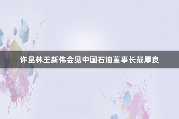 许昆林王新伟会见中国石油董事长戴厚良