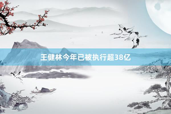 王健林今年已被执行超38亿