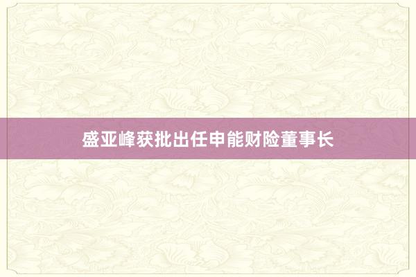 盛亚峰获批出任申能财险董事长
