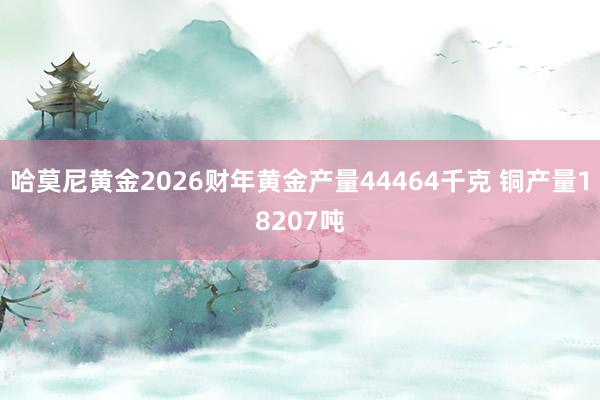 哈莫尼黄金2026财年黄金产量44464千克 铜产量18207吨
