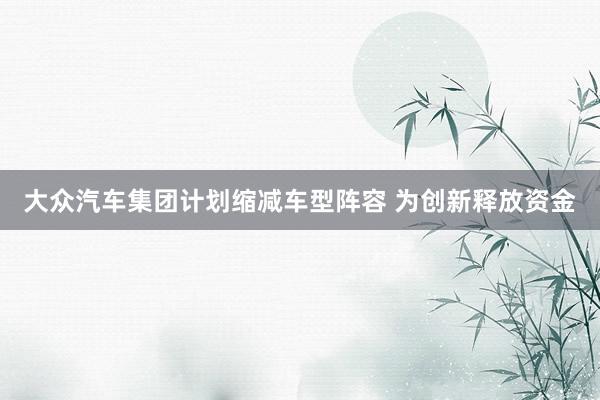 大众汽车集团计划缩减车型阵容 为创新释放资金