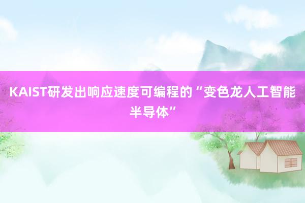 KAIST研发出响应速度可编程的“变色龙人工智能半导体”