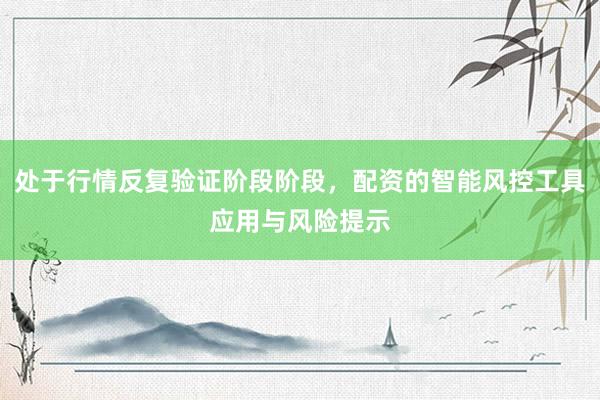 处于行情反复验证阶段阶段，配资的智能风控工具应用与风险提示