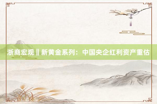 浙商宏观‖新黄金系列：中国央企红利资产重估