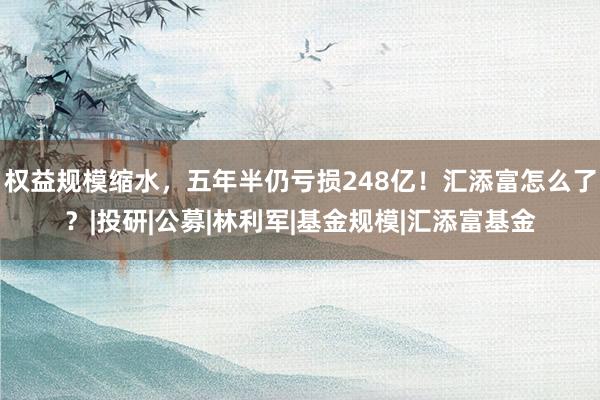 权益规模缩水，五年半仍亏损248亿！汇添富怎么了？|投研|公募|林利军|基金规模|汇添富基金