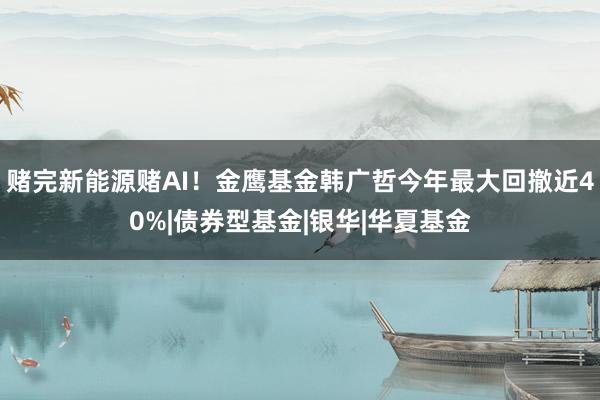 赌完新能源赌AI！金鹰基金韩广哲今年最大回撤近40%|债券型基金|银华|华夏基金