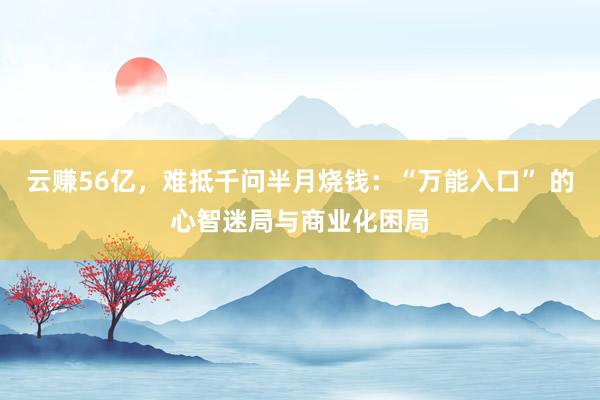 云赚56亿，难抵千问半月烧钱：“万能入口” 的心智迷局与商业化困局