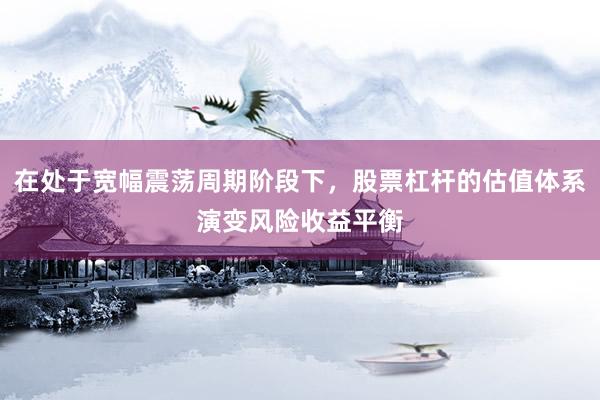 在处于宽幅震荡周期阶段下，股票杠杆的估值体系演变风险收益平衡