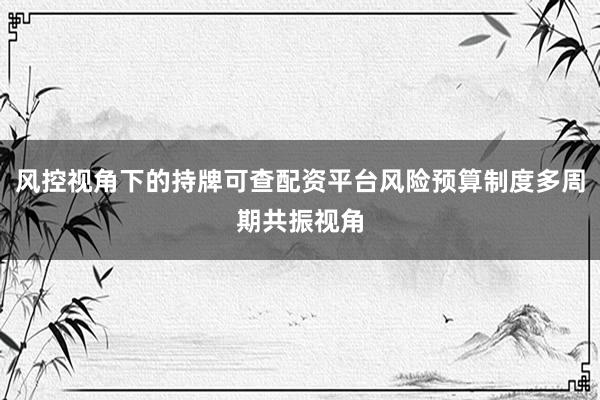 风控视角下的持牌可查配资平台风险预算制度多周期共振视角