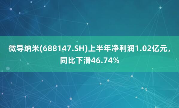 微导纳米(688147.SH)上半年净利润1.02亿元，同比下滑46.74%