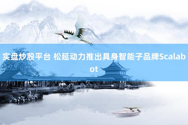 实盘炒股平台 松延动力推出具身智能子品牌Scalabot