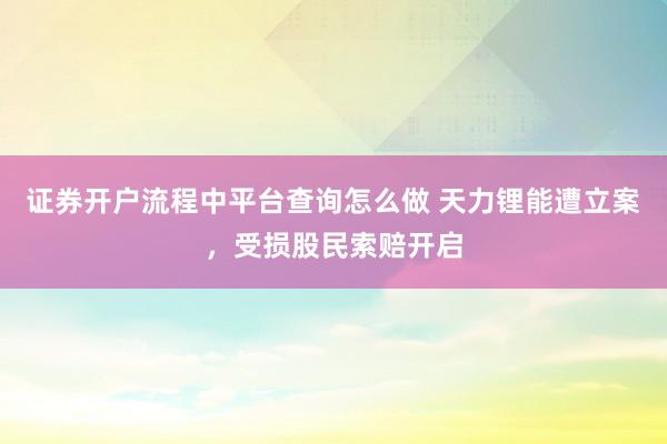 证券开户流程中平台查询怎么做 天力锂能遭立案，受损股民索赔开启