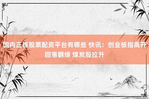 国内正规股票配资平台有哪些 快讯：创业板指高开回落翻绿 煤炭股拉升
