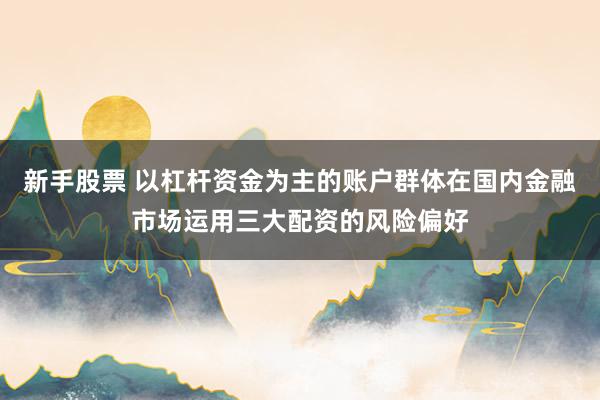 新手股票 以杠杆资金为主的账户群体在国内金融市场运用三大配资的风险偏好