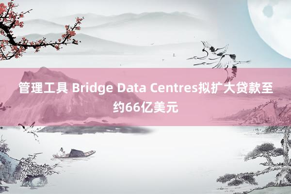 管理工具 Bridge Data Centres拟扩大贷款至约66亿美元