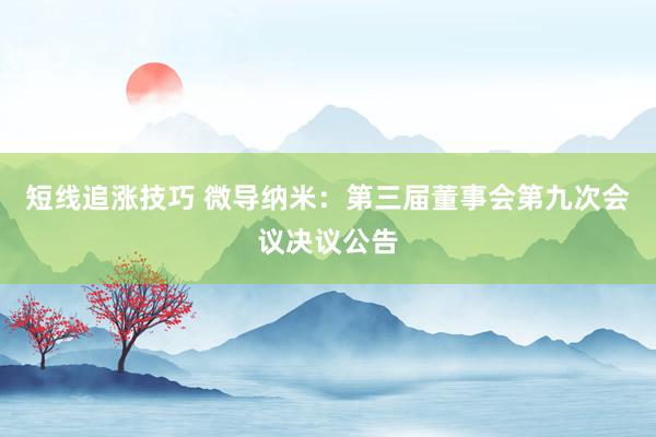 短线追涨技巧 微导纳米：第三届董事会第九次会议决议公告
