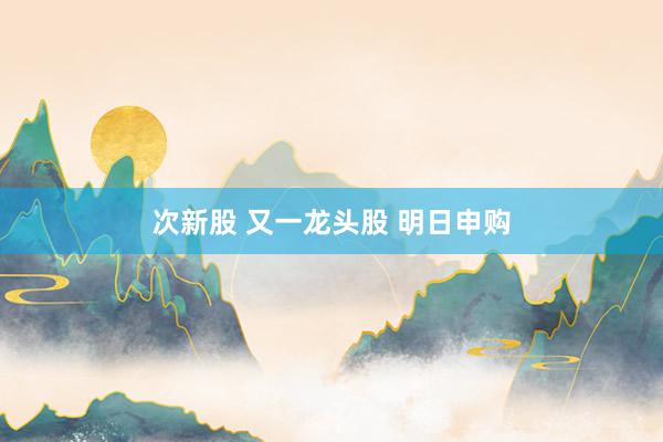 次新股 又一龙头股 明日申购