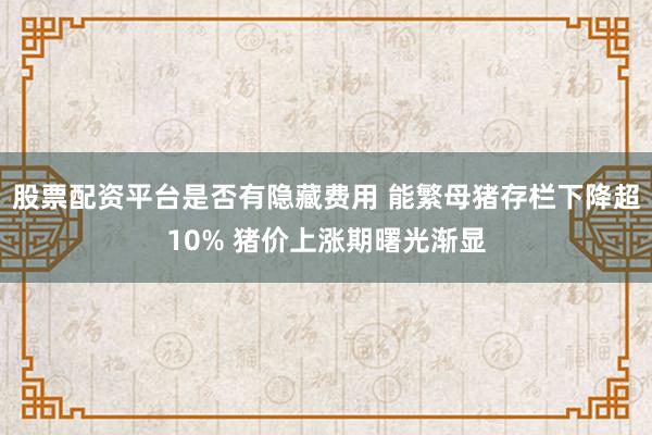 股票配资平台是否有隐藏费用 能繁母猪存栏下降超10% 猪价上涨期曙光渐显