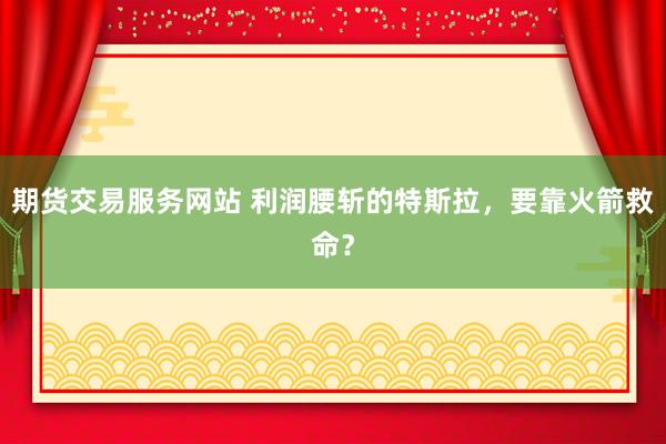 期货交易服务网站 利润腰斩的特斯拉，要靠火箭救命？