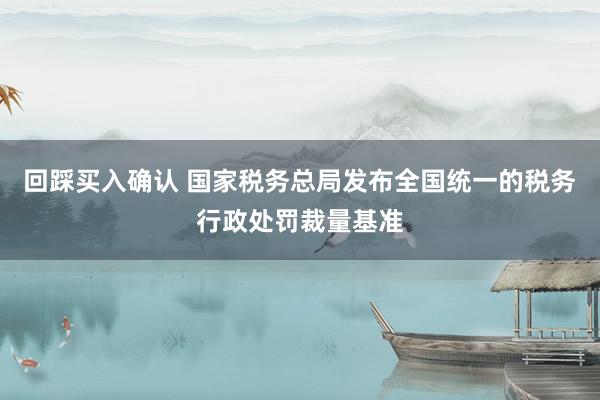 回踩买入确认 国家税务总局发布全国统一的税务行政处罚裁量基准
